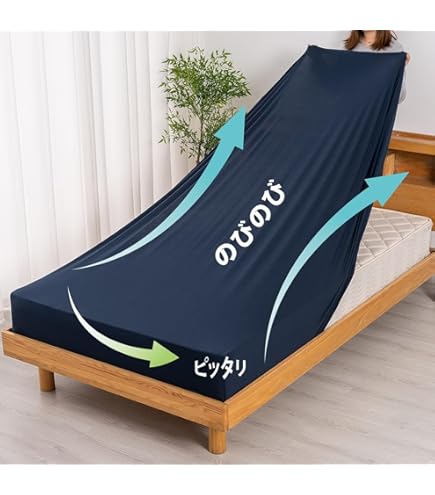 Amazon.co.jp: KADOKAWA あいりすミスティリア! 猫のように甘える